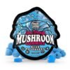 Tre House Blue Raspberry Extra-Strength Mushroom Gummies 10ct